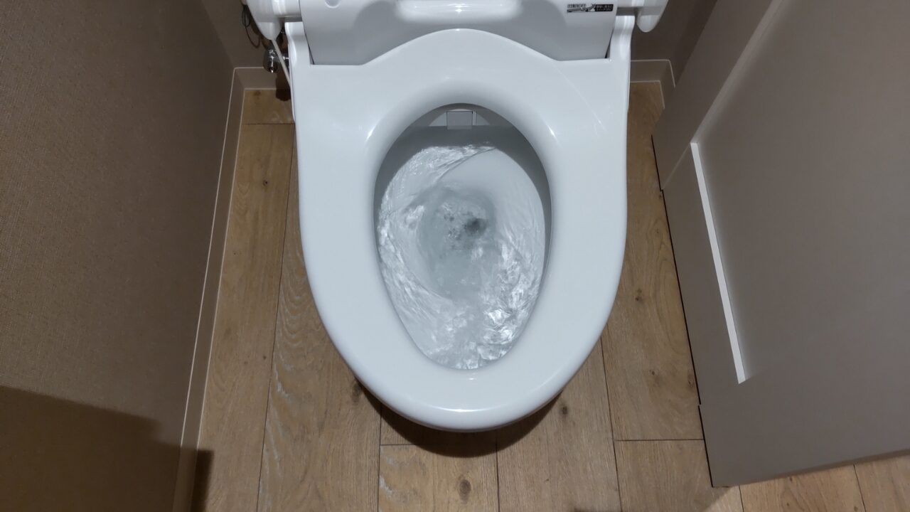 toilet-lever-no-change