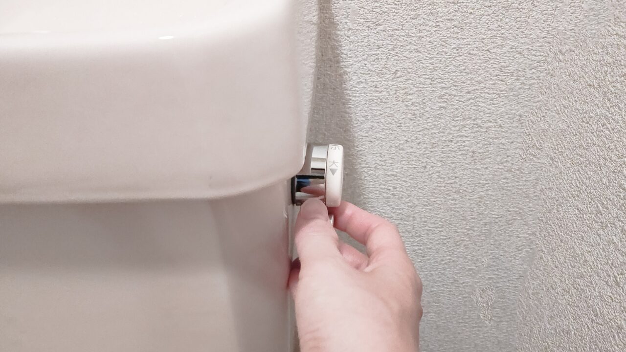 rent-toilet-lever-trouble